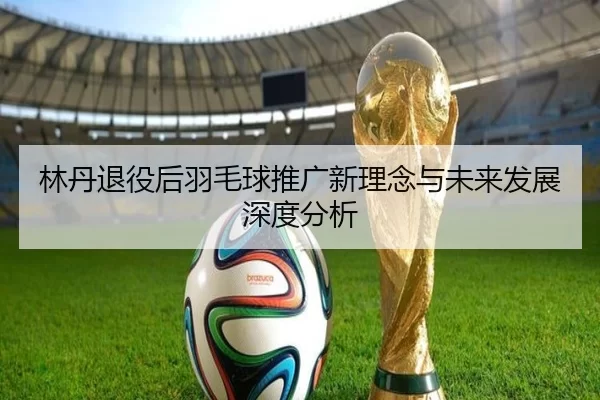 林丹退役后羽毛球推广新理念与未来发展深度分析