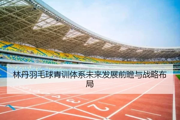 林丹羽毛球青训体系未来发展前瞻与战略布局